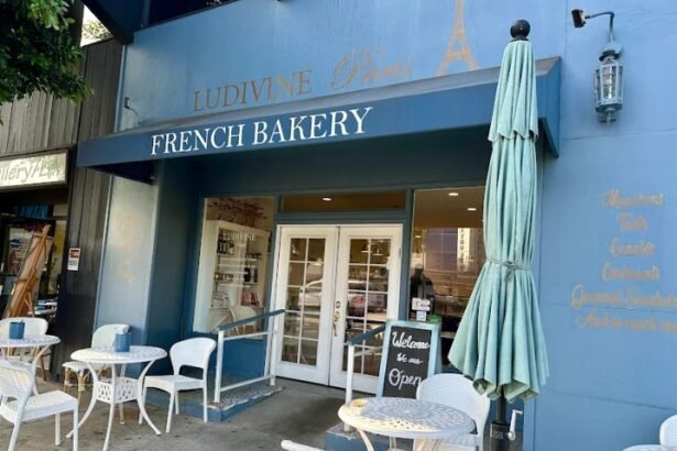 The Sweet Rise of Ludivine Paris in Los Angeles