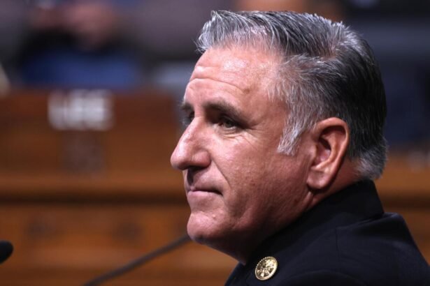 Los Angeles fire chief admits failures after Palisades Fire