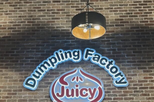 Juicy Dumpling Factory