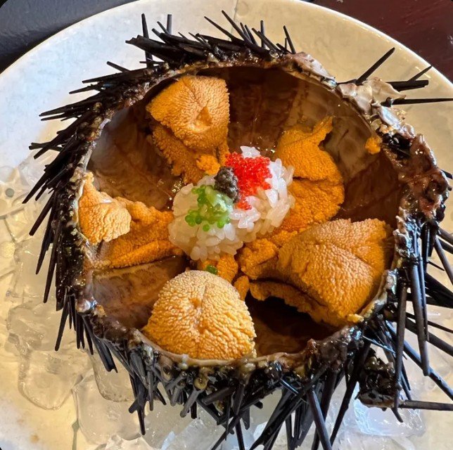 Izakaya Tora Is Redefining the West Hollywood Sushi Experience